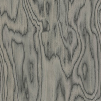 Sottsass Grey Veneer